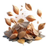 impressive artistic Dry Leaves Piled Up by Wind Isolated authentic png