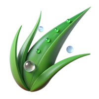 serene abstract Green Grass Blade with Dewdrop Isolated exclusive png