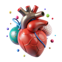 stunning minimalist Human Heart Beating Transparent Background with Realistic Anatomy original png