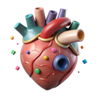 elegant artistic Human Heart Front View Anatomical Diagram Cutout detailed png