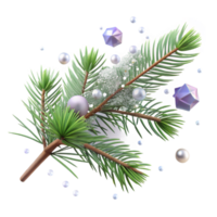 magnificent rustic Pine Branch with Needles Snow Covered Isolated exclusive png