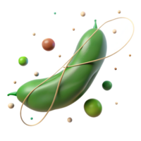 vibrant creative Single Green Bean Isolated with String genuine png