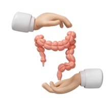 3d doctor hands protecting colon isolated. check colon health, organs concept, 3d illustration render png