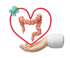3d hands holding colon with heart, cross, check mark isolated. check colon health, constipation concept, 3d illustration render png