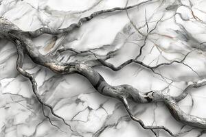 A striking blend of nature and design featuring a gnarled branch against a polished marble surface. photo