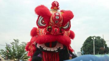 The Majestic Lion Dance in a Festive Atmosphere photo