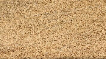 Rice husk is rice bran that has been separated from the rice grains using a mill. photo