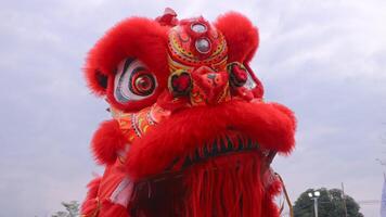Energetic Lion Dance Welcoming the Lunar New Year photo