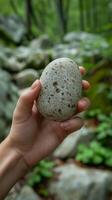 A hand holds a large, speckled stone in a lush, green forest surrounded by smooth rocks and vibrant foliage. photo