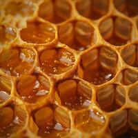 Close-up of honeycomb filled with golden honey, showcasing intricate hexagonal patterns and glistening texture. photo
