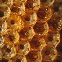 Close-up of golden honeycomb filled with glistening honey, showcasing intricate hexagonal patterns and a rich amber hue. photo