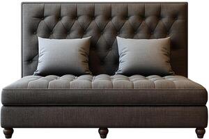 Elegant gray tufted sofa with two decorative pillows, perfect for modern living spaces. photo