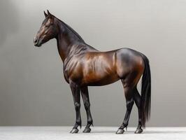 A stunning sleek bay horse stands proudly against a neutral backdrop, showcasing its muscular build and glossy coat. photo