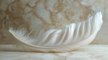 A delicate white feather gracefully rests on a marble surface, showcasing its soft texture and elegant curves. photo