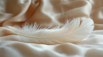 A delicate white feather resting gracefully on soft beige fabric, conveying a sense of calm and tranquility. photo