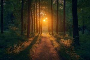 A serene forest scene at sunset, with golden light filtering through tall trees, casting a warm glow on a winding path. photo