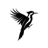A black and white bird with wings spread out vector