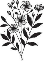 A black and white drawing of a bouquet of flowers with leaves and buds on a white background image vector