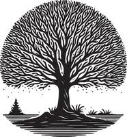 Monochrome illustration of a large tree with a full crown and a small pine tree nearby in black and white vector