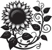 A black and white illustration of a sunflower with leaves and vines on a white background art vector