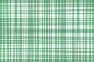 modern simple abstract light green color soft creative geometric smooth texture plaid check tartan gingham pattern that can be used as a background or texture vector