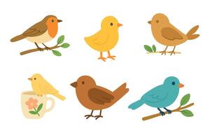 Cute spring birds collection in flat cartoon style. Colorful isolated elements for seasonal design projects. vector