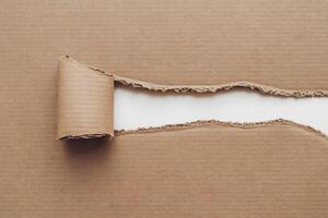 Torn cardboard revealing white layer, curled edge, and textured ribbed pattern photo