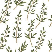 Flat Farmhouse herb seamless tile pattern with rustic thyme sprigs and natural beige tones ideal for country style kitchens concept as Rustic thyme sprigs and natural beige tones c Clean Pro vector