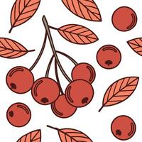 Flat Juicy cranberry seamless tile pattern with deep red berries and autumn leaves concept as Deep red cranberries and autumn leaves form a juicy cranberry seamless tile pattern pe Clean Pro vector