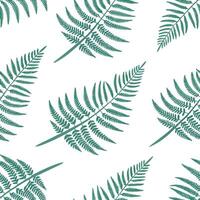 Flat Minimalist fern seamless tile pattern with simple fern silhouettes on a white background perfect for modern bathrooms concept as Simple fern silhouettes on white background cr Clean Pro 2 vector