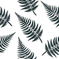 Flat Minimalist fern seamless tile pattern with simple fern silhouettes on a white background perfect for modern bathrooms concept as Simple fern silhouettes on white background cr Clean Pro 6 vector