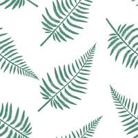 Flat Minimalist fern seamless tile pattern with simple fern silhouettes on a white background perfect for modern bathrooms concept as Simple fern silhouettes on white background cr Clean Pro 9 vector