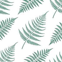 Flat Minimalist fern seamless tile pattern with simple fern silhouettes on a white background perfect for modern bathrooms concept as Simple fern silhouettes on white background cr Clean Pro 7 vector