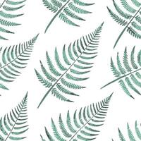 Flat Minimalist fern seamless tile pattern with simple fern silhouettes on a white background perfect for modern bathrooms concept as Simple fern silhouettes on white background cr Clean Pro 4 vector