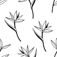 Flat Minimalist monochrome Bird of Paradise seamless pattern with simple lines on white background concept as Simple line monochrome Bird of Paradise flowers creating minimalist se Clean Pro vector