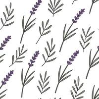 Flat Rustic spring garden seamless tile pattern with lavender and rosemary for aromatic outdoor spaces concept as Aromatic lavender and rosemary seamlessly patterned for a rustic s Clean Pro vector