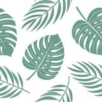 Flat Scandinavian tropical leaves seamless tile pattern with soft green palette and simple monstera and palm leaf illustrations for minimalist homes concept as Simple monstera and Clean Pro vector