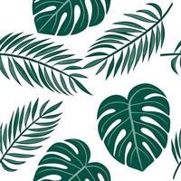 Flat Tropical summer leaves seamless tile pattern with monstera and palm leaves for exotic decor concept as Exotic monstera and palm leaves arranged seamlessly to create a tropical Clean Pro vector