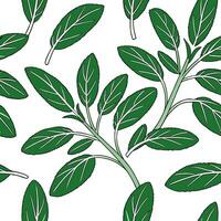 Flat Vibrant green sage leaves seamless pattern with overlapping leaves and natural textures on white backdrop concept as Overlapping vibrant green sage leaves with natural texture Clean Pro vector