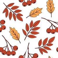 Flat Warm autumn berries and leaves seamless tile pattern with rich reds oranges and browns concept as Rich red orange and brown berries and leaves create a warm autumn berries sea Clean Pro vector