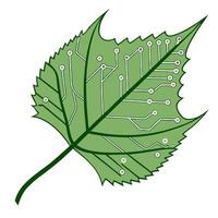 Floating Leaf Merging with Circuit Board concept as A leaf seamlessly merges with a circuit board as they float together mid air against a white background The camera captures a s Clean Pro vector