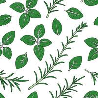 Fresh herb garden seamless tile pattern with green basil thyme and rosemary sprigs for a culinary spring theme concept as Herb sprigs like basil thyme and rosemary form a fresh cul Clean Pro vector