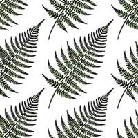 Fresh fern seamless tile pattern with intricate fronds and rich green tones for spring freshness concept as Fresh fern fronds with rich green tones and intricate details create a s Clean Pro vector