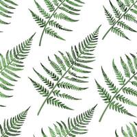 Fresh spring fern and moss seamless tile pattern with textured details and natural beauty concept as Textured fern and moss details in soft green shades create a seamless tile patt Clean Pro vector