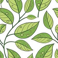 Fresh spring nature seamless pattern with crisp green leaves and dewdrops for a revitalizing spring aesthetic concept as Dew kissed leaves pattern with vibrant green hues and dewdr Clean Pro vector