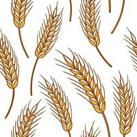 Harvest wheat seamless tile pattern with golden wheat stalks and autumn textures concept as Golden wheat stalks with autumn textures create a harvest wheat seamless tile pattern pe Clean Pro vector