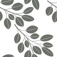 Minimalist eucalyptus seamless tile pattern with simple green stems and soft white accents ideal for modern kitchens concept as Simple green eucalyptus stems and soft white accents Clean Pro vector
