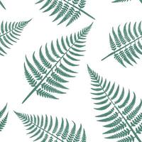 Minimalist fern seamless tile pattern with simple fern silhouettes on a white background perfect for modern bathrooms concept as Simple fern silhouettes on white background create Clean Pro 2 vector