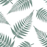 Minimalist fern seamless tile pattern with simple fern silhouettes on a white background perfect for modern bathrooms concept as Simple fern silhouettes on white background create Clean Pro 5 vector