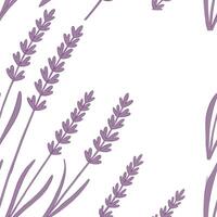 Minimalist lavender seamless tile pattern with simple purple blooms and soft grey accents ideal for modern kitchens concept as Simple purple lavender blooms and soft grey accents c Clean Pro vector